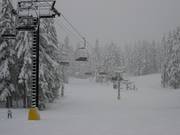 Fresh snow in the Timberline ski area