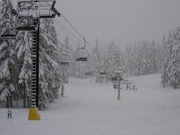 Ski resort Timberline