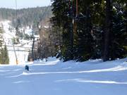 Skilift Notschrei 2 - T-bar