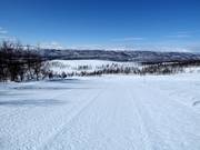 Slope No. 15 Direkten