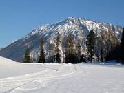 Brandner cross-country trail at the Unternberg ski area