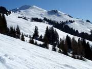 Freeride area Schwarzkogel