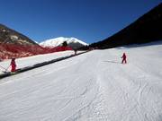 Conveyor belt in Temù
