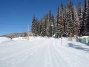 Cross-country trails in SilverStar Mountain Resort
