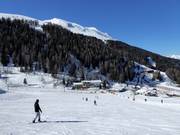 Spacious beginner area Kaserwald