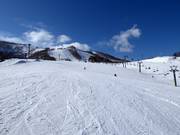 Valley run Kogen (Grand Hirafu)