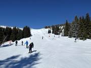 Slope No. 14 Knezevseke