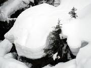 Plenty of natural snow is the norm in Espace Diamant