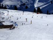 Beginner area at the Ludy drag lift