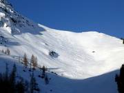 Tracks in the powder snow of Fieberbrunn