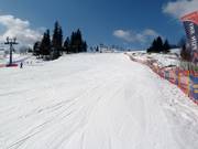 The easy slope of Witów