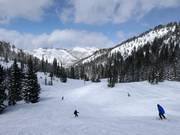 Ski resort of Solitude