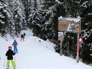 Tip for children  - Children's obstacle course “Auf den Spuren der Wildtiere” (On the Traces of Wild Animals)