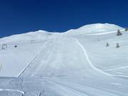 Carving dreams at Windegga