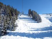 Open ski area with mogul slope (Les Diablerets)
