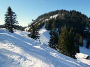 Descent from the Unternbergalm