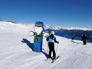 Tip for children  - Family Line