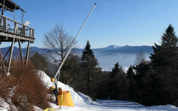 Snow reliability Cham – Snow reliability Hohenbogen – Neukirchen bei Hl. Blut