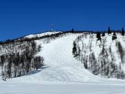 Mogul slope S'en No. 33 (Geilohovda)