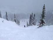 Steep slopes at the Milly Express chairlift