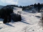 Runs at Pointe de la Turche in Les Gets