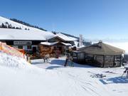 Mountain hut tip Holzalm Brixen