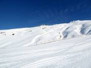 View from Pete's Treat over the Saddle Basin