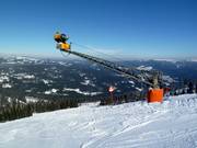 Comprehensive snowmaking at Arber