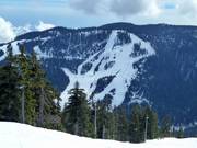 View of the slopes at Black Mountain