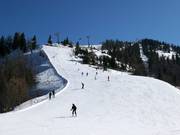 Intermediate Brandlab descent