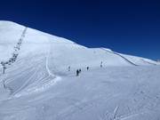 Wide slope Gitsch (Gitschberg)