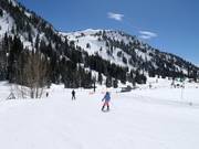 Easy slope at the Snowpine chairlift