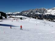 Easy slopes at the Schwammkopf and Tannenboden drag lifts
