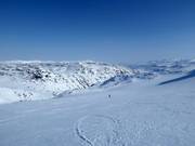 Endless expanses while heliskiing in Björkliden