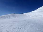 Easy slope no. 2 Wilder Mann