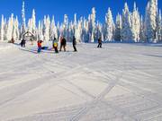 Start your ski day on freshly groomed slopes