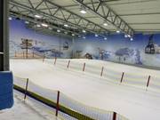 View of the beginner area from the chairlift