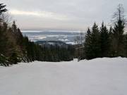 Wide forest runs lead down to the valley.