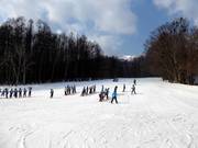 Beginners at Furano Prince Hotel