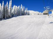 Intermediate slope Exhibition