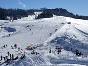 For beginners: Wide slopes at the Winklmoosalm