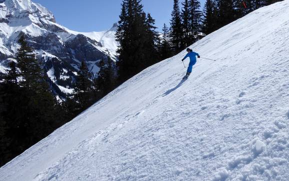 Ski resorts for advanced skiers and freeriding Lenk-Simmental – Advanced skiers, freeriders Adelboden/Lenk – Chuenisbärgli/Silleren/Hahnenmoos/Metsch