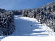 Black Europacup Slope