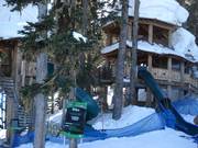 Tree Forts - treehouse with slides for children