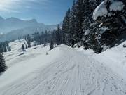 Ski trail from the Bürserberg ski area to Brand