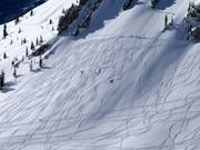 Powder slopes in Mineral Basin