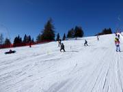 Ski course at the Bidner practice lift