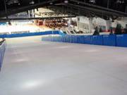 View of the dry ski slope