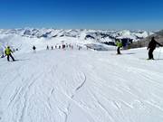 Easy slopes start at Steinbergkogel