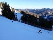 Black Ochsenboden-Direkt